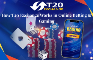 Read more about the article How Does T20 Exchange Work in Online Gaming and Betting?